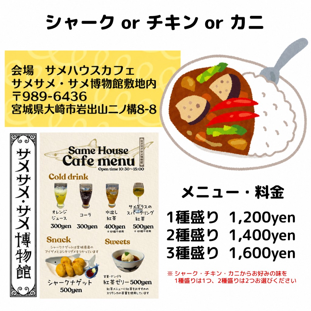 サメハウスカフェのカレーランチ