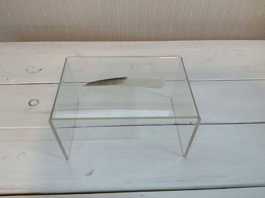 フトツノザメの棘
