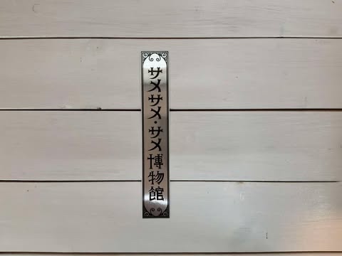 サメサメ・サメ博物館オリジナルグッズ